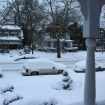 2010-02-06 (007)